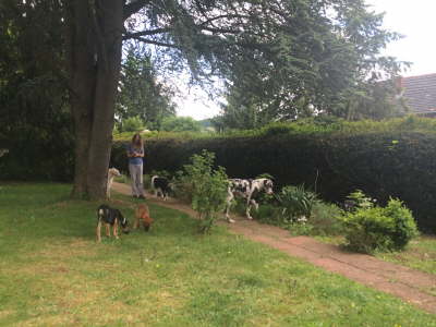 10376599_890604880965865_1229021324_o