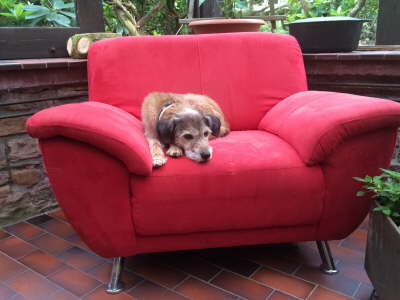 10416006_897109380315415_49634839_o