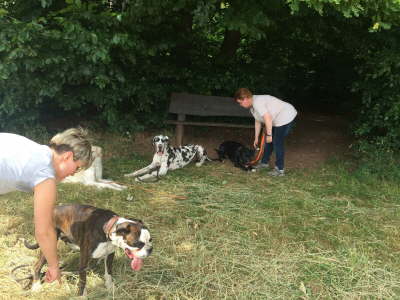 10487517_915635145129505_1736548949_o