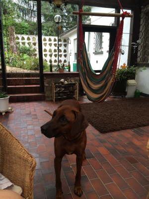 10573817_940985755927777_1737110927_o