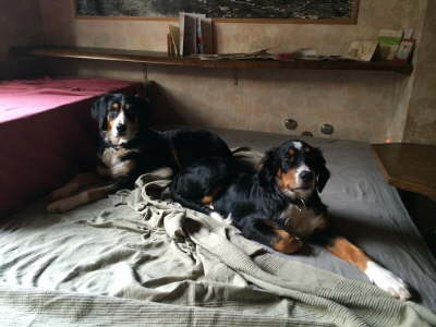 10579309_1020929271266758_1846471016_o