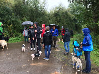 10685856_973150056044680_1914670445_o