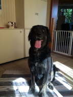 10686353_962920990400920_1239342736_o