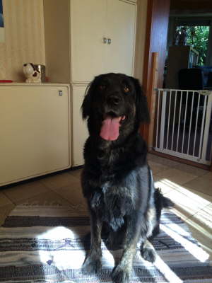 10686353_962920990400920_1239342736_o