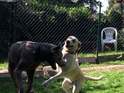 10712148_970626626297023_2022443534_o