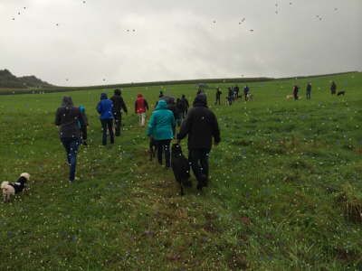 10712233_973190526040633_265736071_o