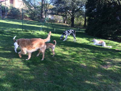 11182853_1119797814713236_193465692_o