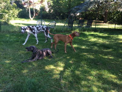 11265062_1173710745988609_1263528178_o