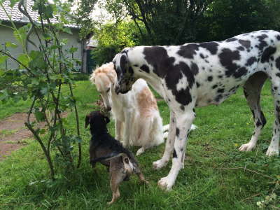 11348674_1139375099422174_2018999736_o