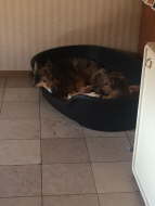 11660194_1160938293932521_1463192560_o