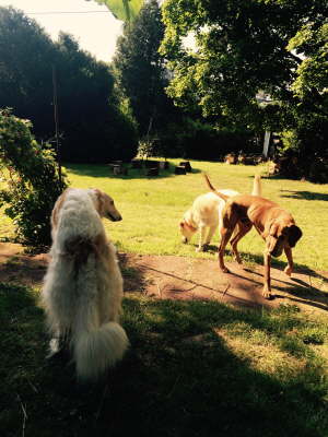 11728100_1165710676788616_98162661_o