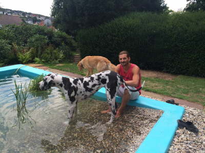 11900984_1193322410694109_1839486037_o