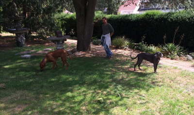 11975549_1207059312653752_1692728737_o