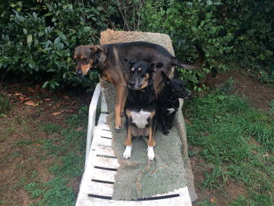 12037883_1211393468887003_1599393018_o