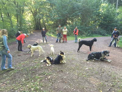 12050958_1219070131452670_310303221_o