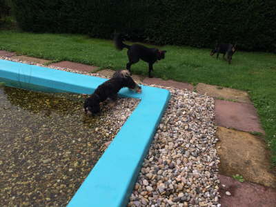 12112689_1223263184366698_2026933484_o