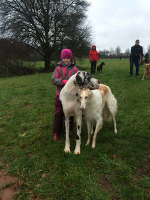 12363921_1262872007072482_1679065037_o