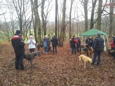 12364310_1262500220442994_400351075_o