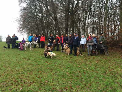 12364448_1262909263735423_1031885626_o