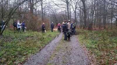 12364481_1262871077072575_312601584_o