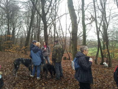 12375567_1262499927109690_1763680411_o