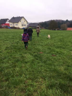 12375819_1262872273739122_1562792171_o