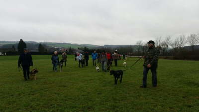 12380693_1262869170406099_1004631309_o