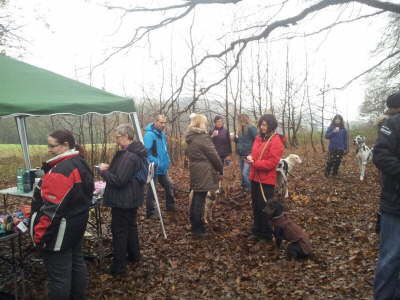 12394359_1262871573739192_822987108_o