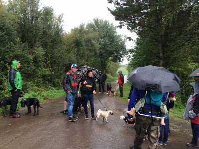 1481762_973172856042400_1919209101_o